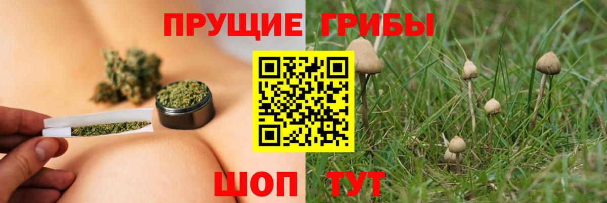 Псилоцибиновые грибы MAGIC MUSHROOMS  Галлюциногенные грибы мухоморы  Удомля  Вход с VPN 